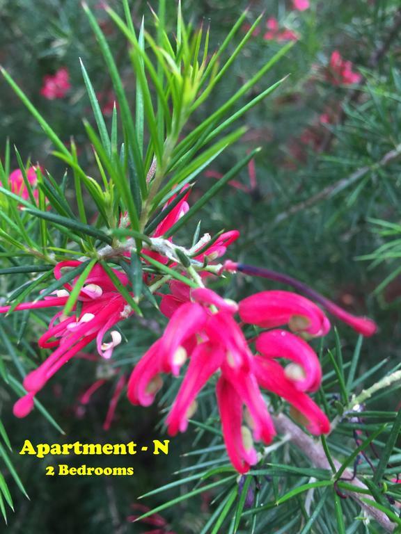 Mi Apartment 스타리 그라드 외부 사진